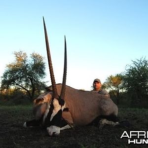 Hunting Gemsbok in Limpopo South Africa 36 1/4 inches