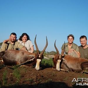 Hunting Blesbok in Limpopo South Africa 18 inches