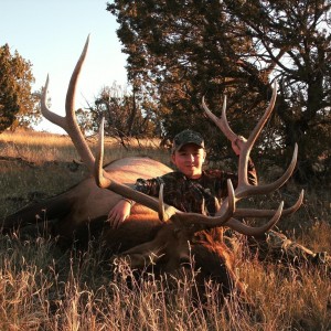 Hunting Elk New Mexico