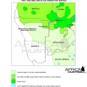 Southern Savanna Buffalo Range Map