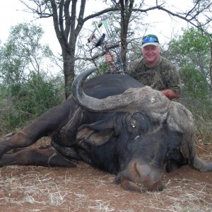 Buffalo Hunt