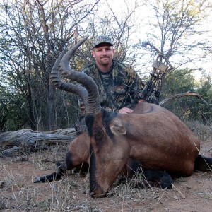 Bowhunting Hartebeest South Africa