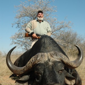 Buffalo Hunting