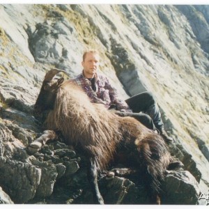 Tahr, West Coast, N.Z