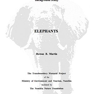 Elephant Report