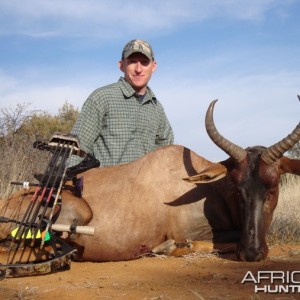 Bowhunting Tsessebe