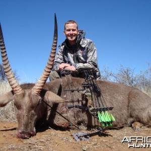 Bowhunting Waterbuck