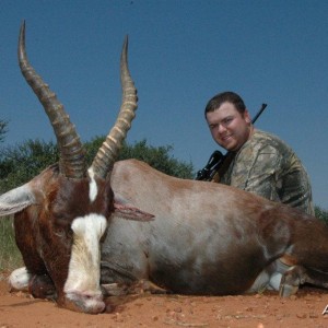 Hunting Blesbok