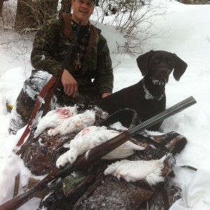 Ptarmigan Hunting Alaska