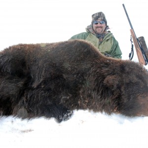 Alaska Brown Bear Hunt