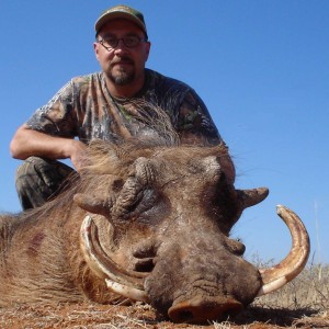 Hunting Warthog Botswana