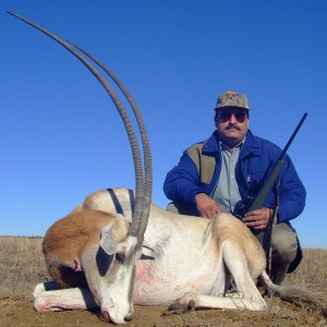 Hunting Scimitar Oryx