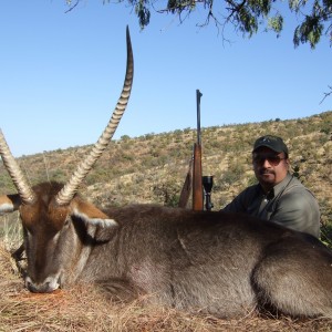 Hunting Waterbuck