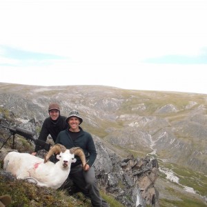 Alaska Dall Sheep Hunt