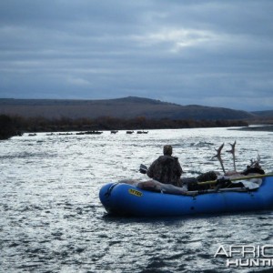 Caribou on the Anisak River