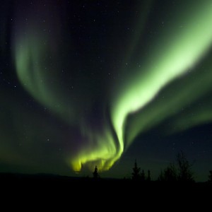 The Northern Lights above an Alaskan Moose camp