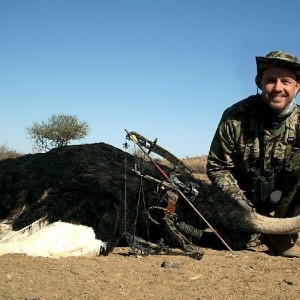 Bowhunting Ostrich