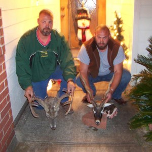 Whitetail and Blackbuck Hunt Texas