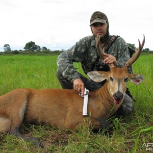 Hunting Swamp Deer