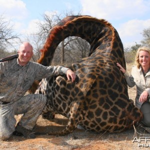 Old Bull Giraffe taken in South Africa with Intrepid Safaris