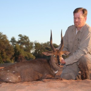 Hunting Bushbuck