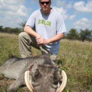 Warthog Hunt