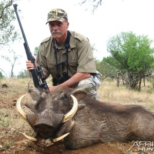 Hunting Warthog