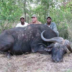 Hunting Buffalo