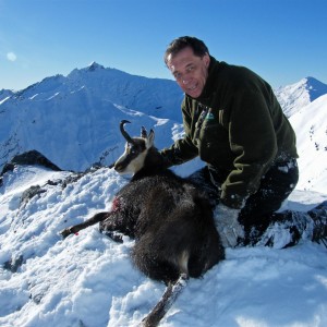 Hunting Chamois