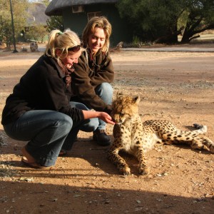 Tshukudu Cheetah