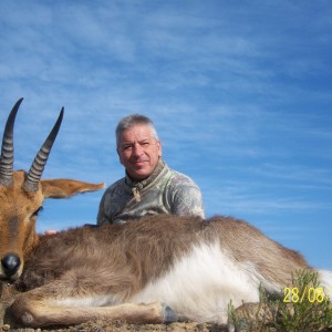 Mountain Reedbuck