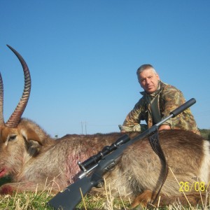 Waterbuck