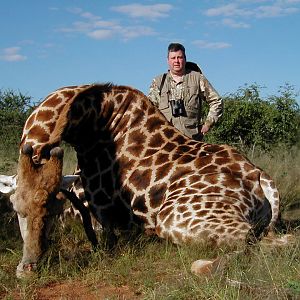 Hunting Giraffe in Namibia