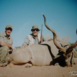 kudu bull