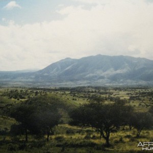 Tanzania 1985