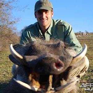 Hunting Warthog in South Africa