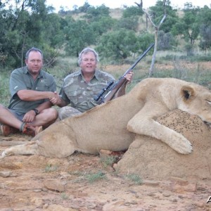 Lioness hunted with PH Hein Uys