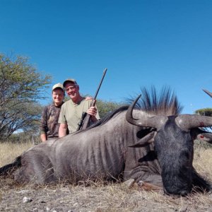 Blue Wildebeest Hunting Botswana