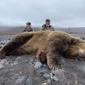 Bear Hunting Anchorage Alaskan Peninsula