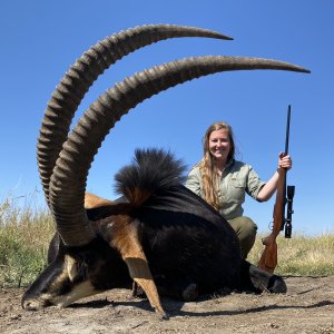 Sable Hunting South Africa