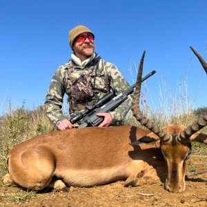 Impala Hunting South Africa