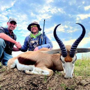 Springbok Hunting South Africa