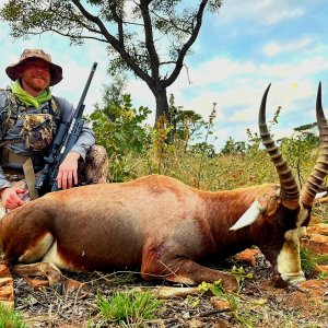 Blesbok Hunting South Africa