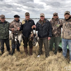 Duck Hunting Argentina