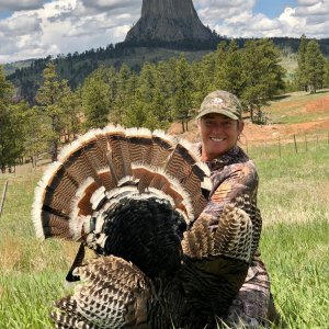 Bow Hunting Turkey Wyoming