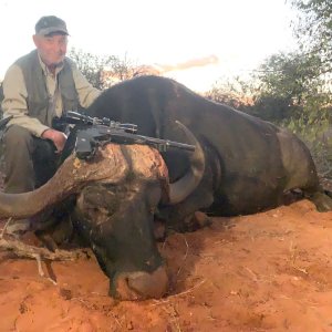 Buffalo Hunting South Africa