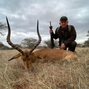 Impala Hunt South Africa