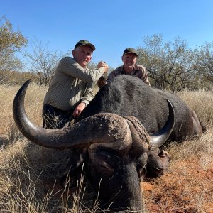 Buffalo Hunting Limpopo South Africa