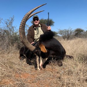 Sable Hunting Limpopo South Africa