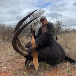 Sable Hunting Limpopo South Africa